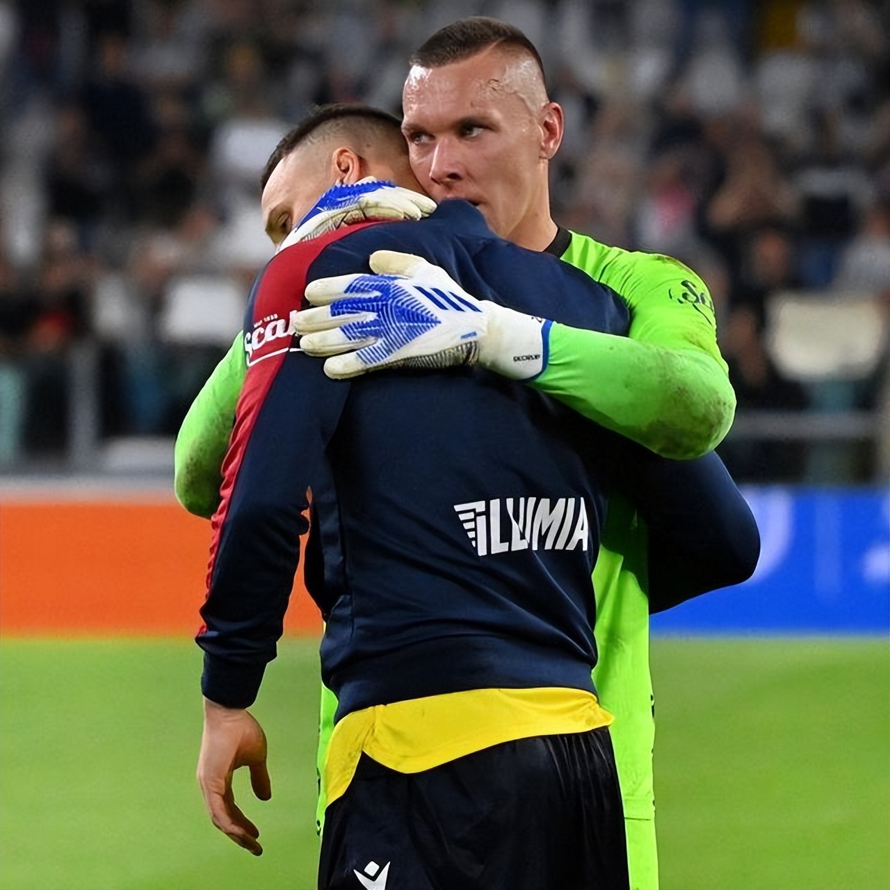 数据面板 数据面板